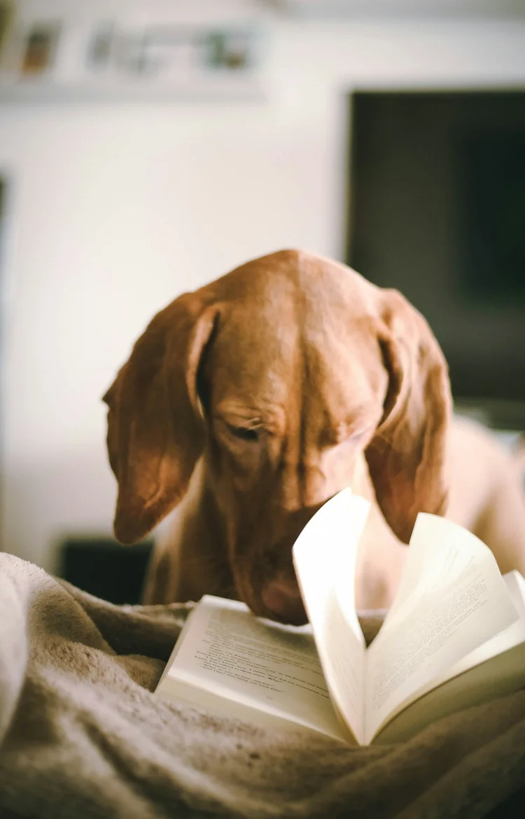 First Friday Book Club