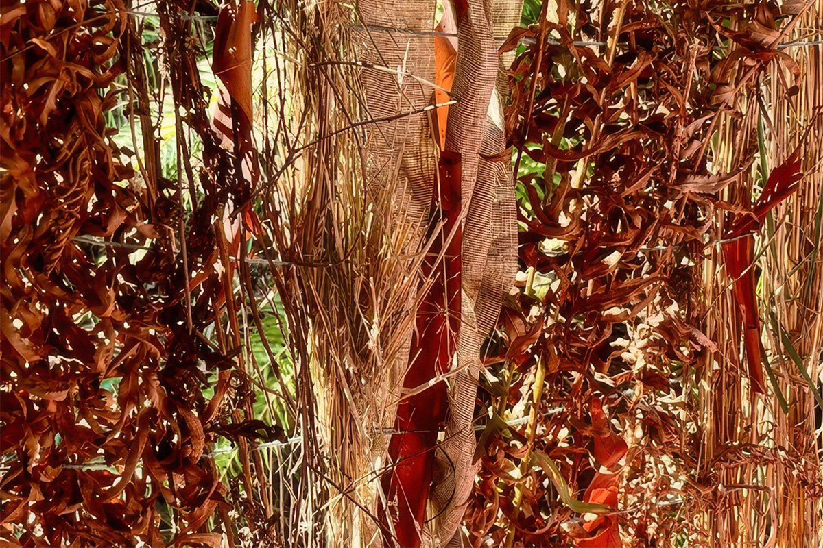 Woven World: A Hands-On Workshop Inspired by the Site-Specific Sculptures of Alison Stigora