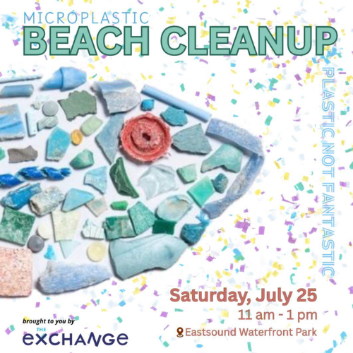 Beach Cleanup