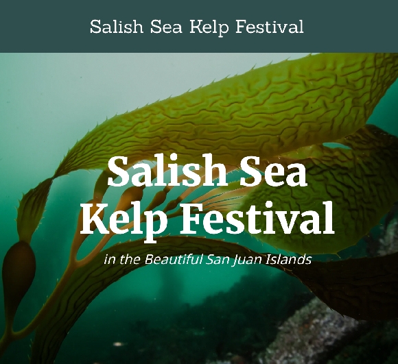 Salish Sea Kelp Festival
