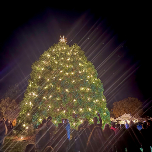 Holiday on the Green Tree Lighting and Tractor Parade
